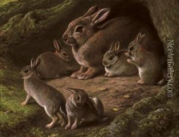 Rabbits In A Wood Oil Painting - Samuel John Carter