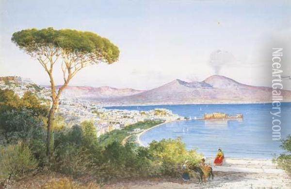Veduta Del Golfo Di Napoli Oil Painting - Federico Schianchi
