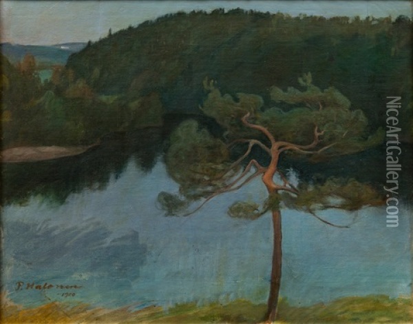 Pine Tree By The Shore Oil Painting - Pekka Halonen