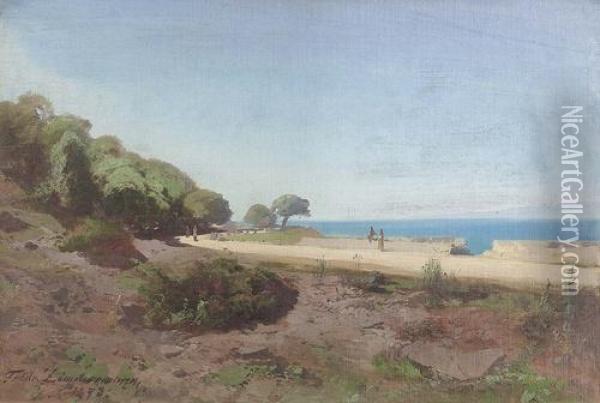 Sudlicher Uferweg Am Meer. Oil Painting - Friedrich Zimmermann
