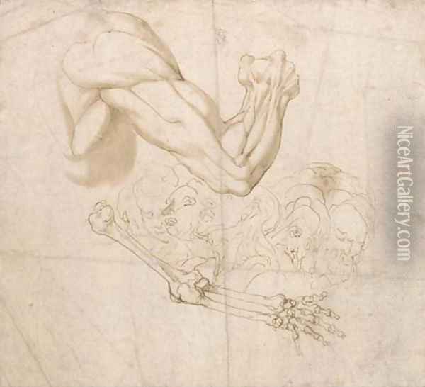 A shoulder and right arm and studies of the bones of the right arm and of five heads Oil Painting - Bartolomeo Torri