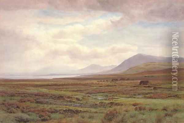 On the moors, Achill Island, Co. Mayo, Ireland Oil Painting - Henry Albert Hartland