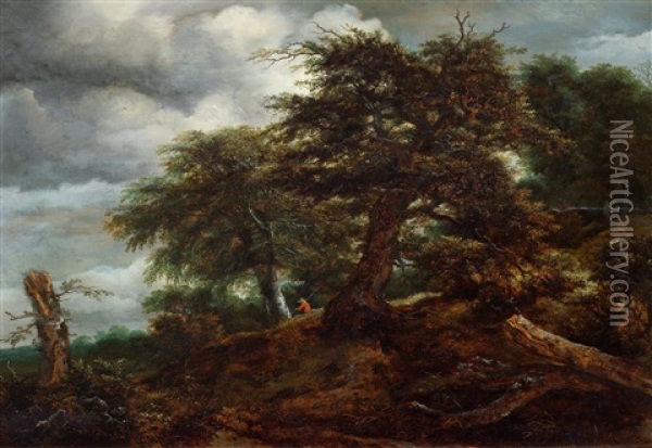 Bewaldeter Hugel Mit Wanderer Und Zwei Baumstumpfen Oil Painting - Jacob Van Ruisdael