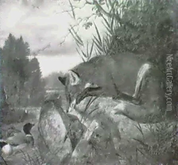 Ein Fuchs Auf Der Lauer Oil Painting - Edmund Guido Hammer