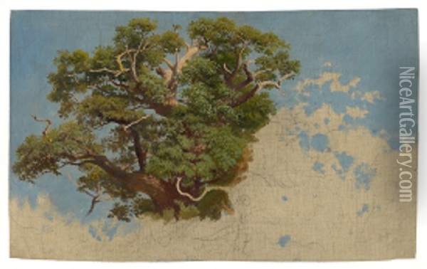 Study Of A Tree Oil Painting - Viktor Paul Mohn