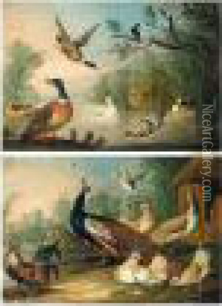 Peacock, Peahen And Other Fowl In A Landscape Oil Painting - Pieter III Casteels