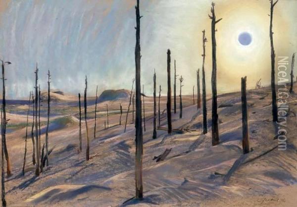 Der Tote Wald Oil Painting - Willy Jaeckel