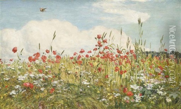 A Poppy Field Oil Painting - Walter Field