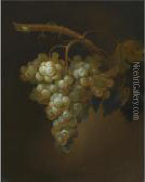 Still Life With A Bunch Of Grapes On A Vine Oil Painting - Simon Pietersz. Verelst