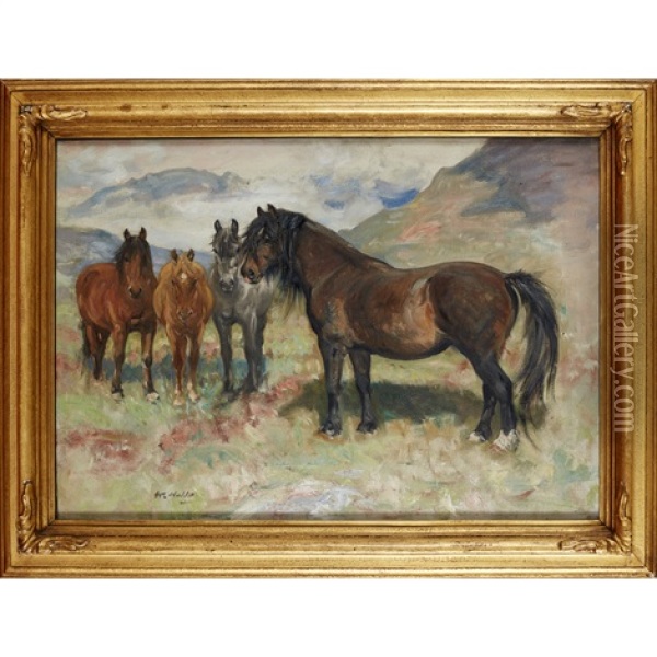 Kintail Ponies Oil Painting - William Walls