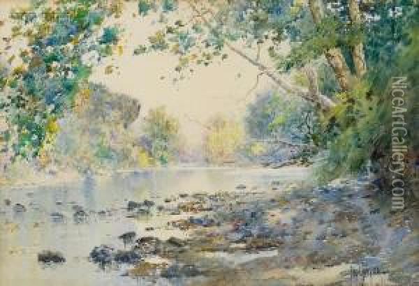 Creek Scene / A Kentucky Landscape Oil Painting - Paul Sawyier