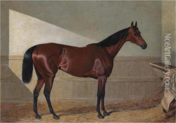 Beeswing
, A Dark Bay Racehorse, In A Stable Oil Painting - John Frederick Herring Snr