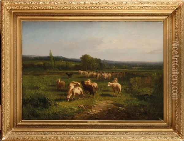 Moutons Au Paturage Oil Painting - Andre Cortes