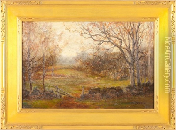 Forest Interior Oil Painting - Arthur Edward Blackmore