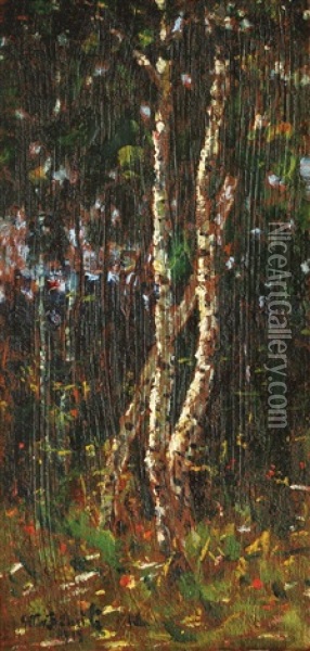 Birches Oil Painting - Octav Bancila