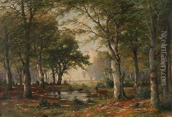 Rotwild Im Sonnigen Wald An Der Tranke Oil Painting - Jacobus Johannes Van Poorten