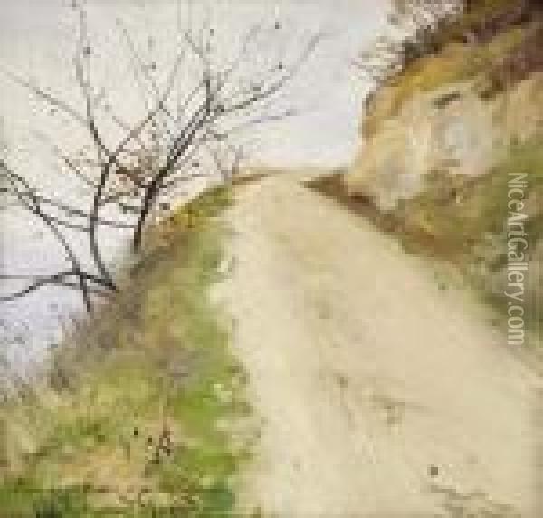 Chemin Tournant Et Arbustes Oil Painting - Xavier Desparmet-Fitzgerald