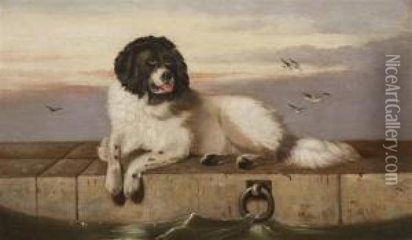 Newfoundland Dog On A Quayside Oil Painting - John Morris
