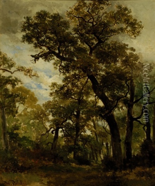 Woods Near Oosterbeek Oil Painting - Willem Roelofs