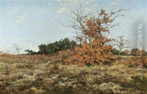 View Of The Campine Oil Painting - Joseph Theodore Coosemans