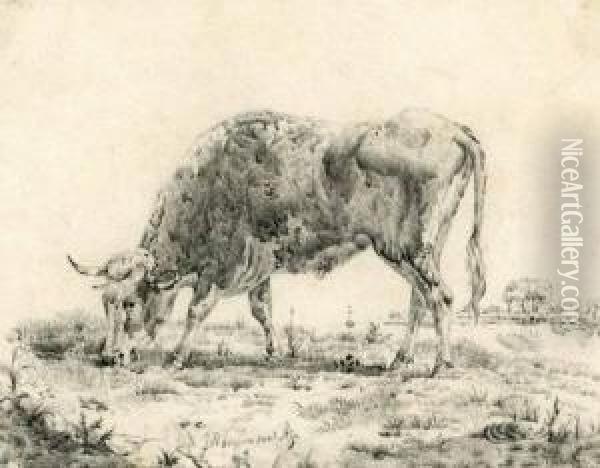 Grasende Kuh Am Ufer Eines Flusses Oil Painting - Johannes Marinus Azn Verhoesen
