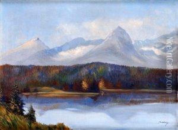 Pleso V Tatrach Oil Painting - Karol Polonyi