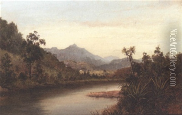 Evening On The Waihou River, New Zealand Oil Painting - Albert Edward Aldis