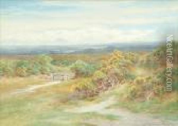Gate On Exmoor Silver Birches Oil Painting - Charles James Adams