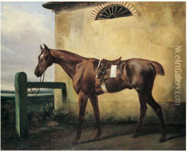 Cheval Selle Attache A Une Barriere Oil Painting - Horace Vernet