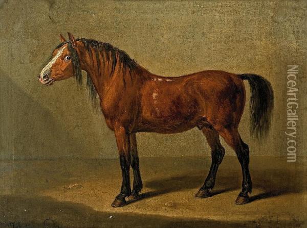 Pferdeportrait Vor Grunem Hintergrund Oil Painting - Johann Baptist Ii Dallinger Von Dalling
