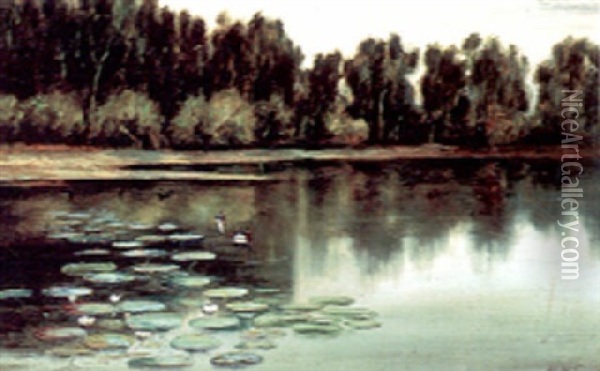 Lake With Ducks Oil Painting - Edward Wilson Currier
