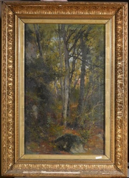 Waldlandschaft Oil Painting - Auguste Bachelin
