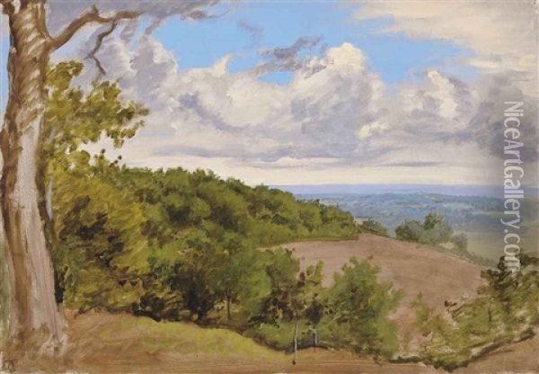 View Near Redhill, Surrey (+ Woodland Near Redhill, Surrey, Watercolor And Chalk; 2 Works) Oil Painting - William Linnell