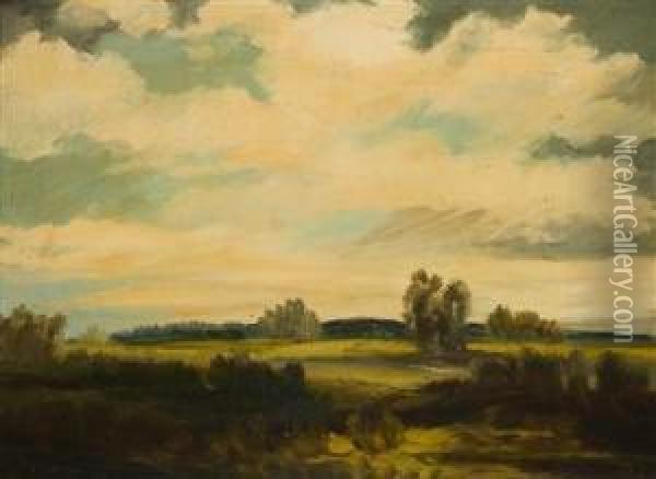A Flat Landscape Oil Painting - Viktor Rolin