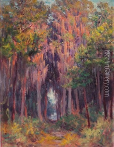 Hanging Moss, St. Petersburg, Florida Oil Painting - John Ottis Adams