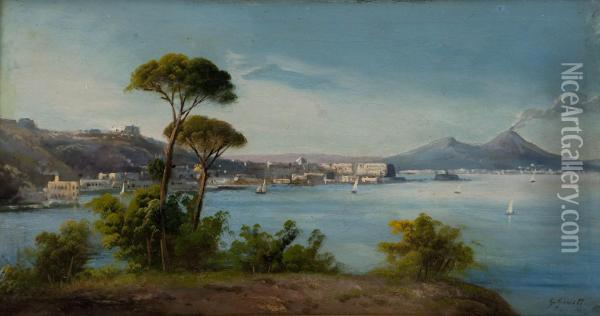 Veduta Del Golfo Di Napoli Da Posillipo Oil Painting - Guglielmo Giusti
