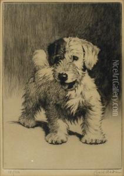 A Puppy Oil Painting - Cecil Charles Aldin