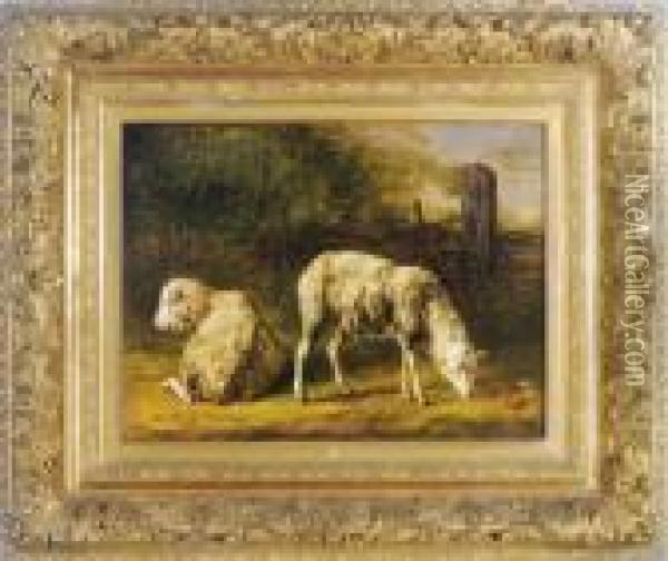 Sheep Grazing In A Landscape Oil Painting - Jacques Raymond Bracassat