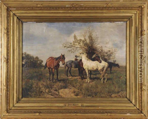 Pferdeherde Oil Painting - Julius von Blaas