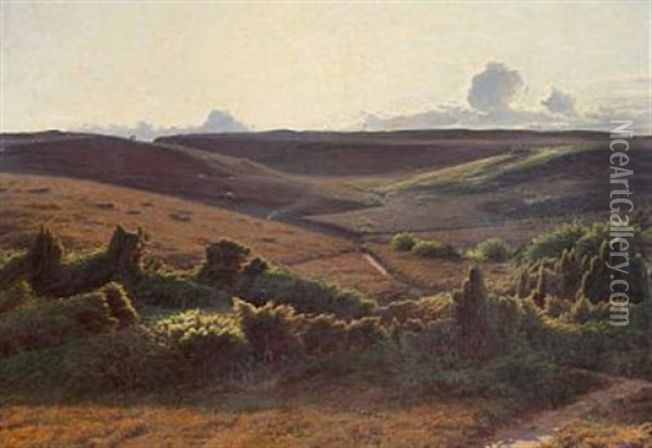 View Of A Moor Landscape In The Afternoon Oil Painting - Sigvard Marius Hansen