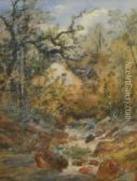 A Rocky Stream Oil Painting - William Widgery