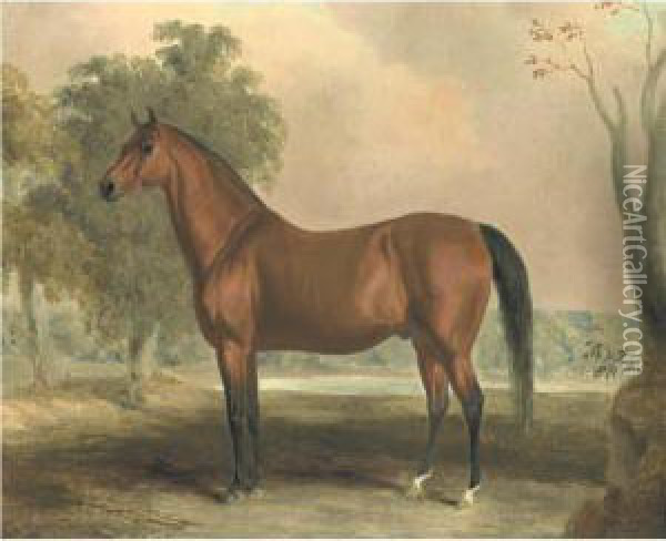 Bertrand, By Sir Archy Oil Painting - Edward Troye