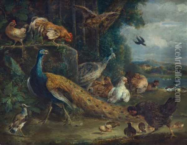 A Peacock, A Peahen, Chickens And Other Birds By A River Oil Painting - Melchior de Hondecoeter