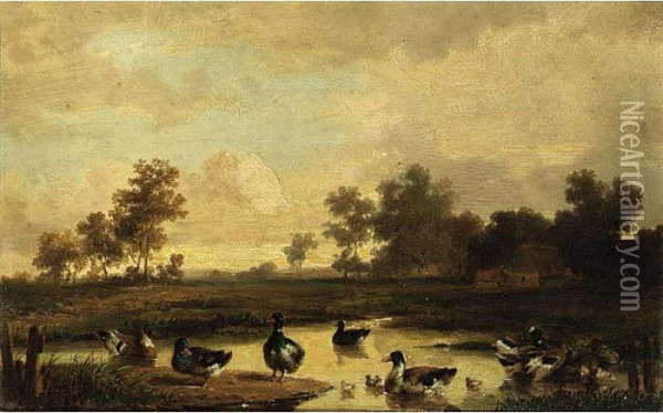 Ducks With Ducklings In A Pool Oil Painting - Cornelis van Leemputten
