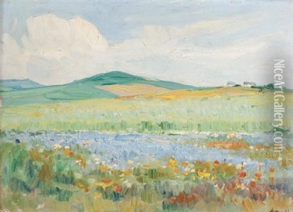 Spring Flowers, Darling Oil Painting - Pieter Hugo Naude