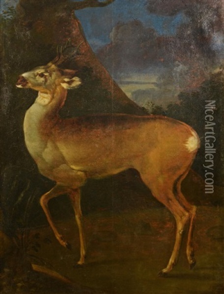 Srnec Oil Painting - Johann Georg de Hamilton