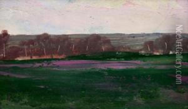Krajina V Rovini Oil Painting - Gustav Macoun