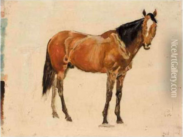 Three Sketches Of Horses Oil Painting - James Lynwood Palmer