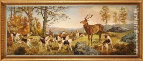 La Vallee Du Cerf En Foret De Fontainebleau Oil Painting - Paul Tavernier