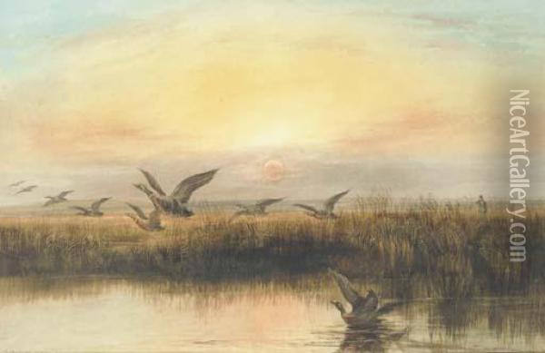 Duck Flighting At Dusk Oil Painting - Andrew Nicholl